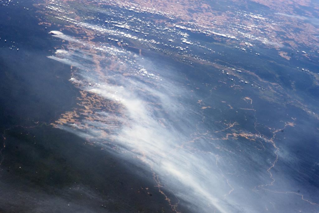 De-forestation viewed from ISS